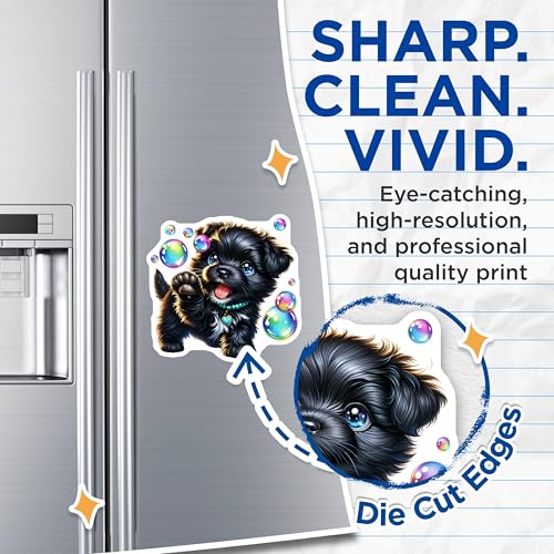 (2 Pack) Dog Lover Decor Magnet - 5" On Longest Side - Sticks to Smooth Flat Surfaces - Made in USA - MAG9612