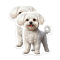 (2 Pack) Maltese Dog Magnets - Fluffy Puppy Magnets - Cute White Dog Decor - Pet Owner Kitchen Accessories - 5 Inches On Longest Side - Thick Durable Magnet - Made in USA - MAG25157