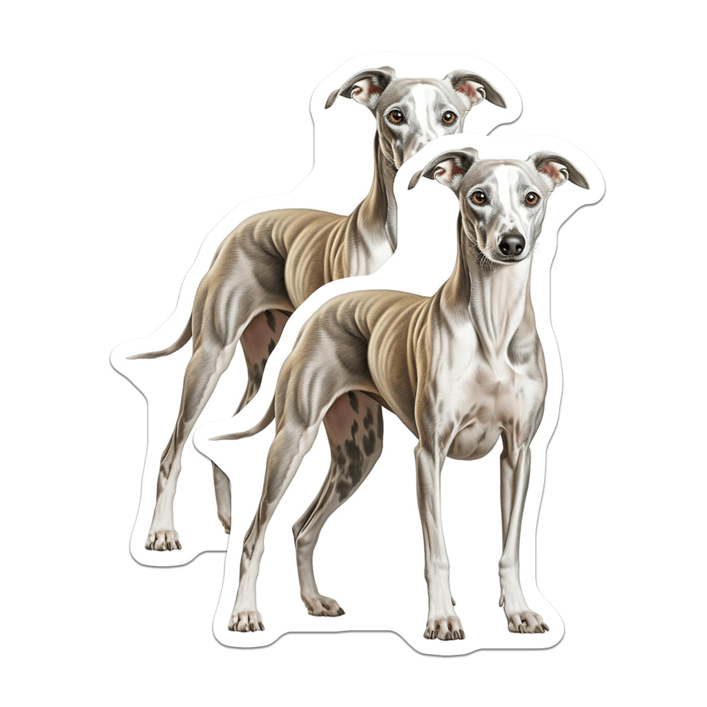 (2 Pack) Italian Greyhound Magnets - Graceful Whippet Dog Art - Sighthound Pet Lover Kennel Decor - Refrigerator Magnets - 5 Inches On Longest Side - Thick Durable Magnet - Made in USA - MAG24998