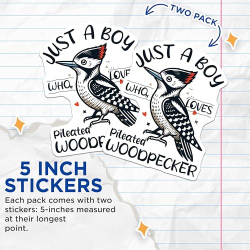 (2 Pack) Just A Boy Who Loves Pileated Woodpecker Stickers - Cute Bird Decal - Nature Lover Sticker Pack - 5" On Longest Side - Sticks to Smooth Flat Surfaces - Made in USA - BMCS6329