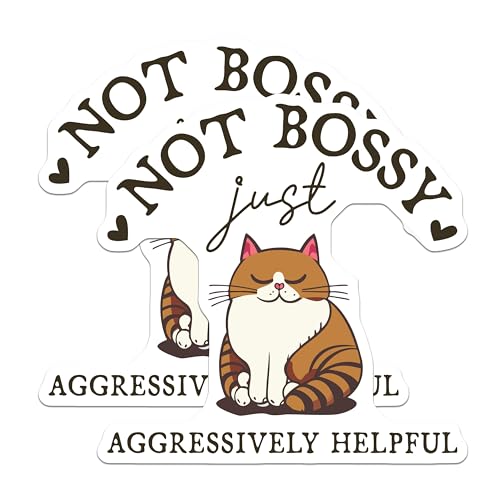 (2 Pack) Not Bossy Just Aggressively Helpful Magnets - Cat Lover Fridge - Funny Cat - 5" On Longest Side - for Cars, Refrigerators, Toolboxes, Lockers - Made in USA MAG3539