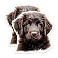 (2 Pack) Brown Puppy Magnets - Adorable Dog Mom Dad Decor - Animal Lover Fridge Locker Accessories - 5 Inches On Longest Side - Thick Durable Magnet - Made in USA - MAG25016