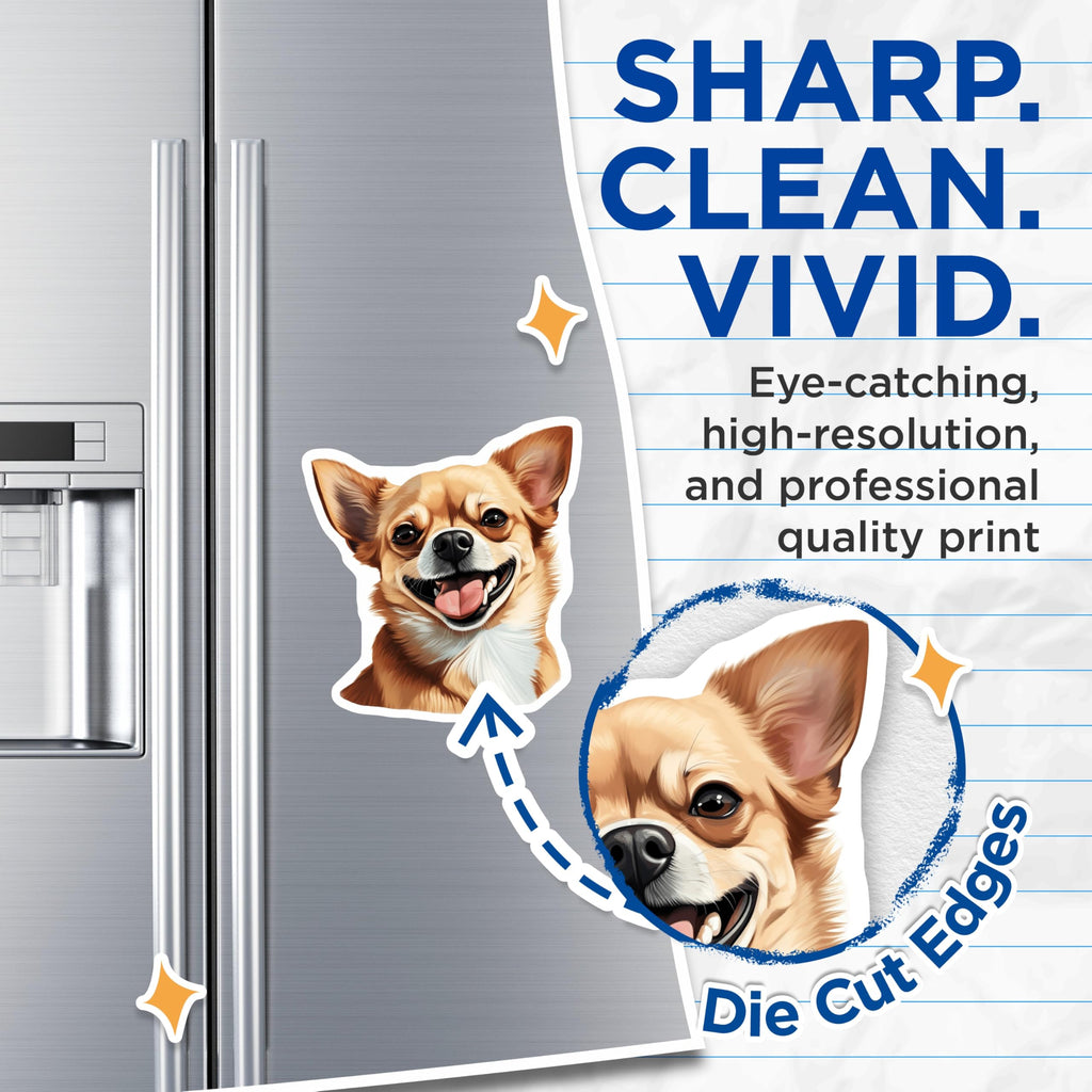 (2 Pack) Chihuahua Magnets - Smiling Dog Decor - Pet Lover Accessory - 5 Inches On Longest Side - Thick Durable Magnet - Made in USA - MAG27425
