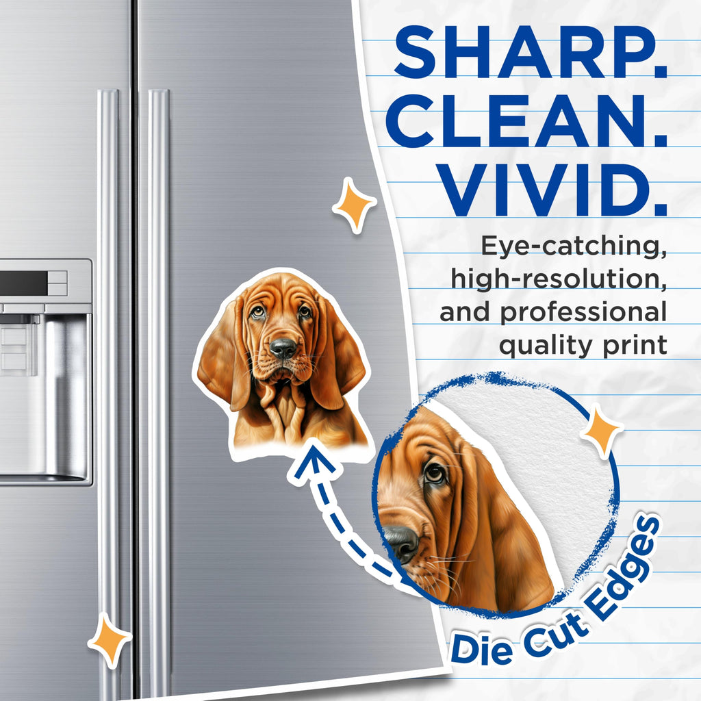 (2 Pack) Bloodhound Dog Magnets - Hound Lover Decor - Pet Owner Fridge Art - Dog Mom Dad Bloodhound Collectible - 5 Inches On Longest Side - Thick Durable Magnet - Made in USA - MAG30856