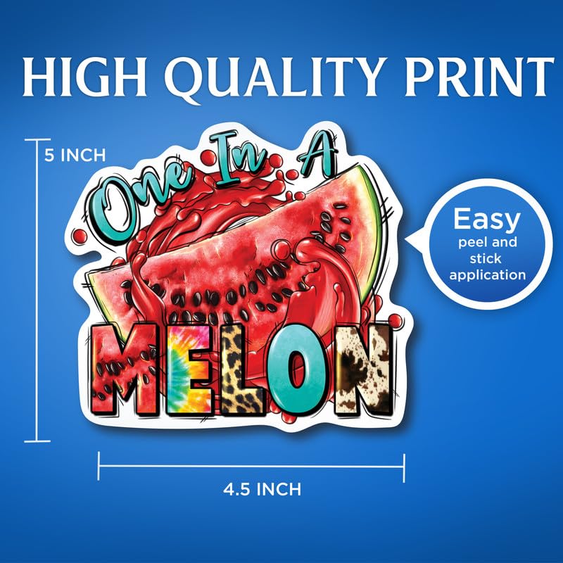 (2 Pack) One in A Melon - Funny Punny Watermelon One in A Million Stickers - 5" On Longest Side - for Car, Truck, SUV - Easy Peel and Stick Vinyl Decals - Made in USA - BMCS0118