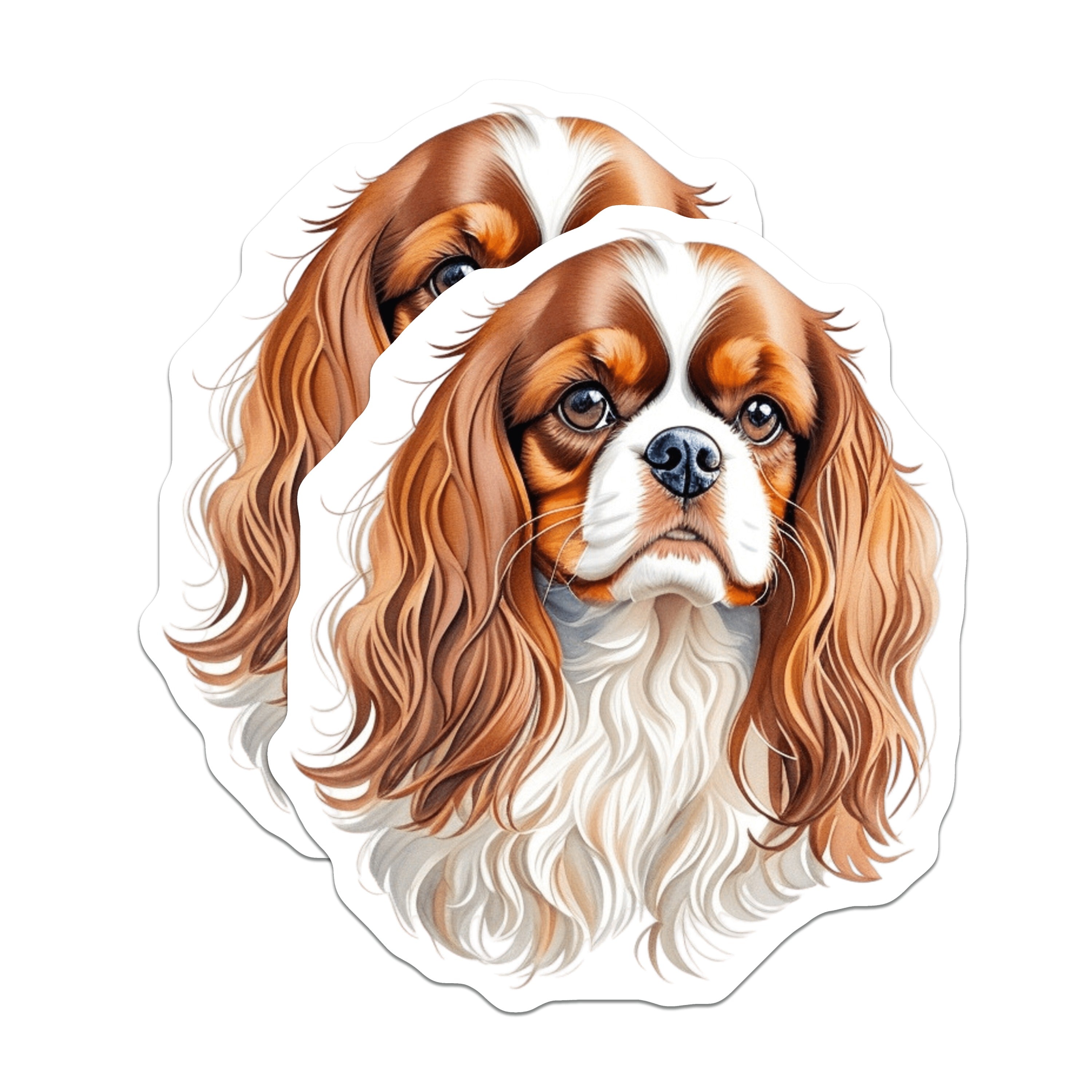 (2 Pack) Cavalier King Charles Spaniel Magnets - Dog Lover Fridge Decor - Pet Owner Kitchen Accent - 5 Inches On Longest Side - Thick Durable Magnet - Made in USA - MAG38924
