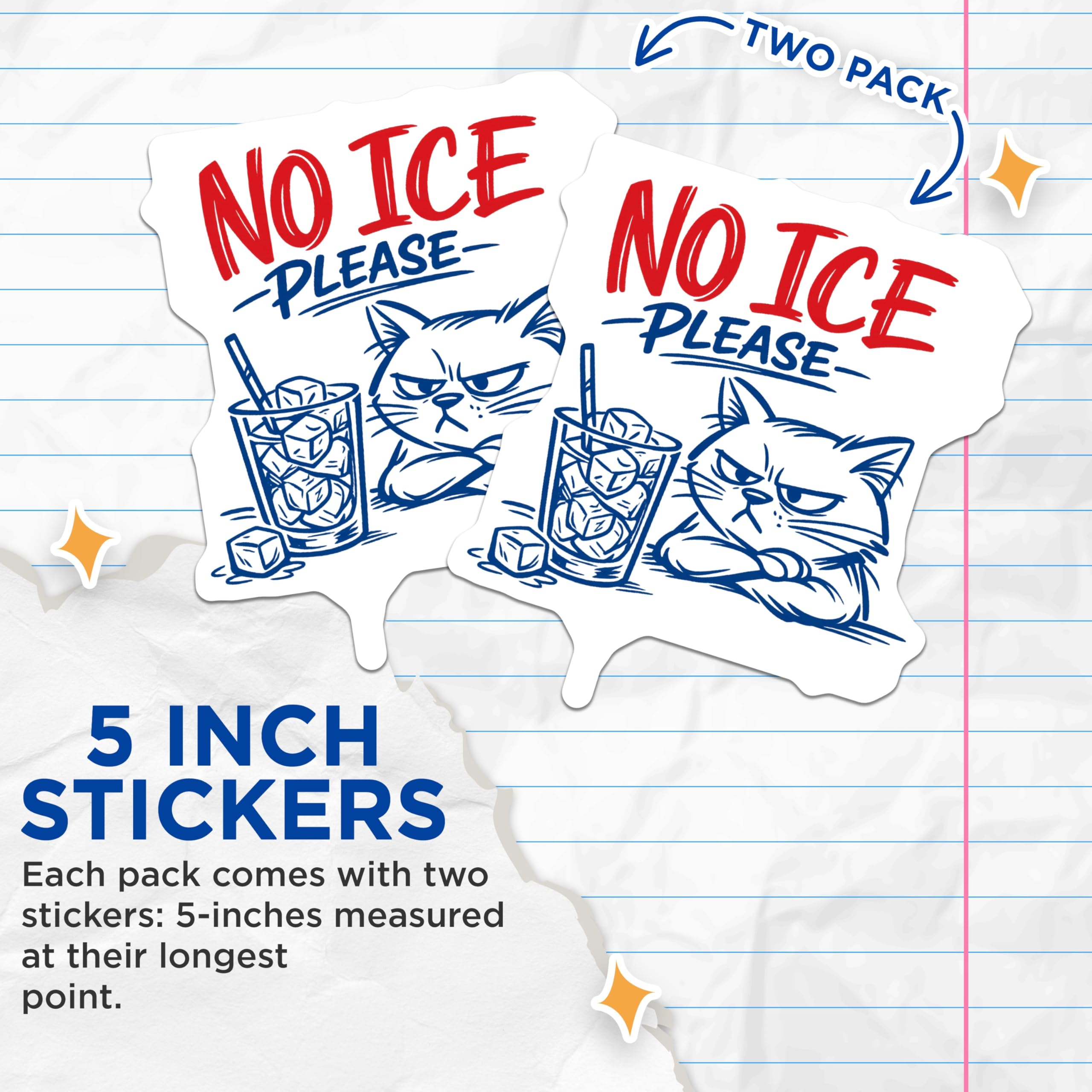 (2 Pack) Grumpy Cat Stickers - No Ice Please Meme - Sarcastic Drink Humor - 5" On Longest Side - Sticks to Smooth Flat Surfaces - Made in USA - BMCS21076
