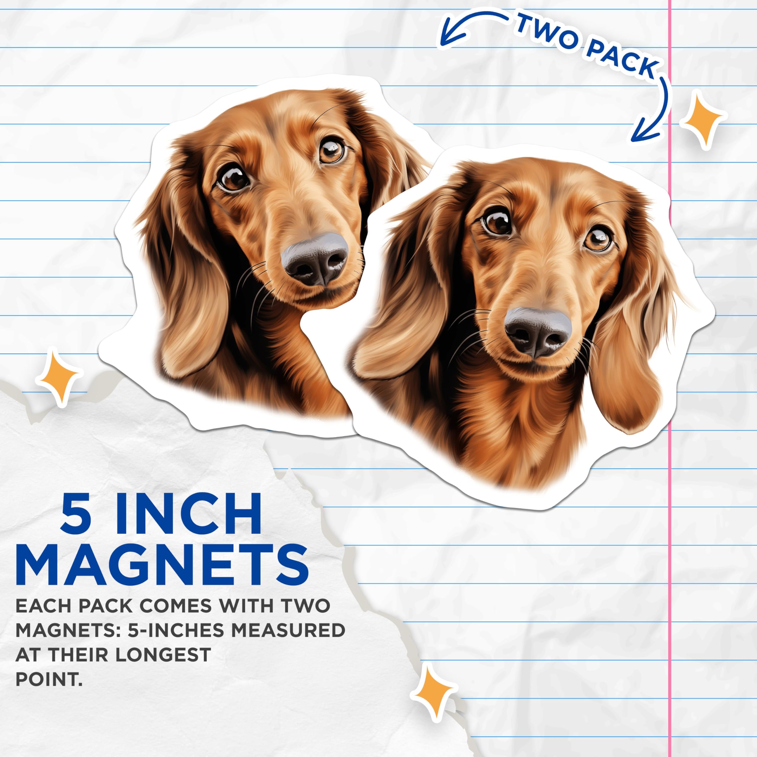 (2 Pack) Long-Haired Dachshund Magnets - Realistic Wiener Dog Art - Pet Owner Fridge Decor - Animal Themed Kitchen Accessory - 5 Inches On Longest Side - Thick Durable Magnet - Made in USA - MAG24920