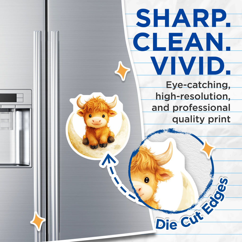 (2 Pack) Cute Highland Cow Magnets - Moon Baby Animal - Adorable Farmhouse Decor - Nursery Kitchen Refrigerator Accessory - 5 Inches On Longest Side - Thick Durable Magnet - Made in USA - MAG37351