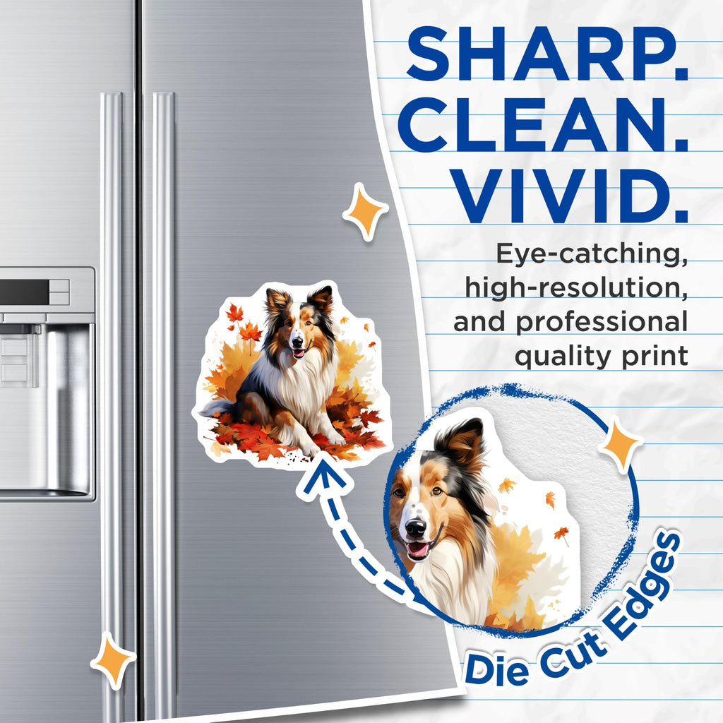 (2 Pack) Sheltie Dog Magnets - Autumn Leaves Decor - Fall Seasonal Pet Art - Collie Dog Lover Refrigerator Magnet - 5 Inches On Longest Side - Thick Durable Magnet - Made in USA - MAG29487
