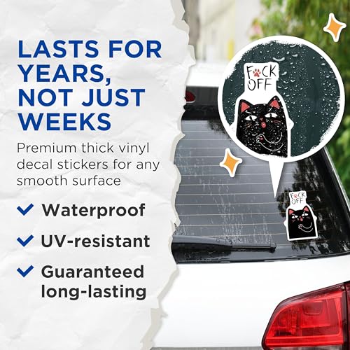 (2 Pack) Cat Meme Stickers - Funny Animal Designs - Humorous Cat Art Decals for Laptops and Water Bottles - 5" On Longest Side - Sticks to Smooth Flat Surfaces - Made in USA - BMCS8645
