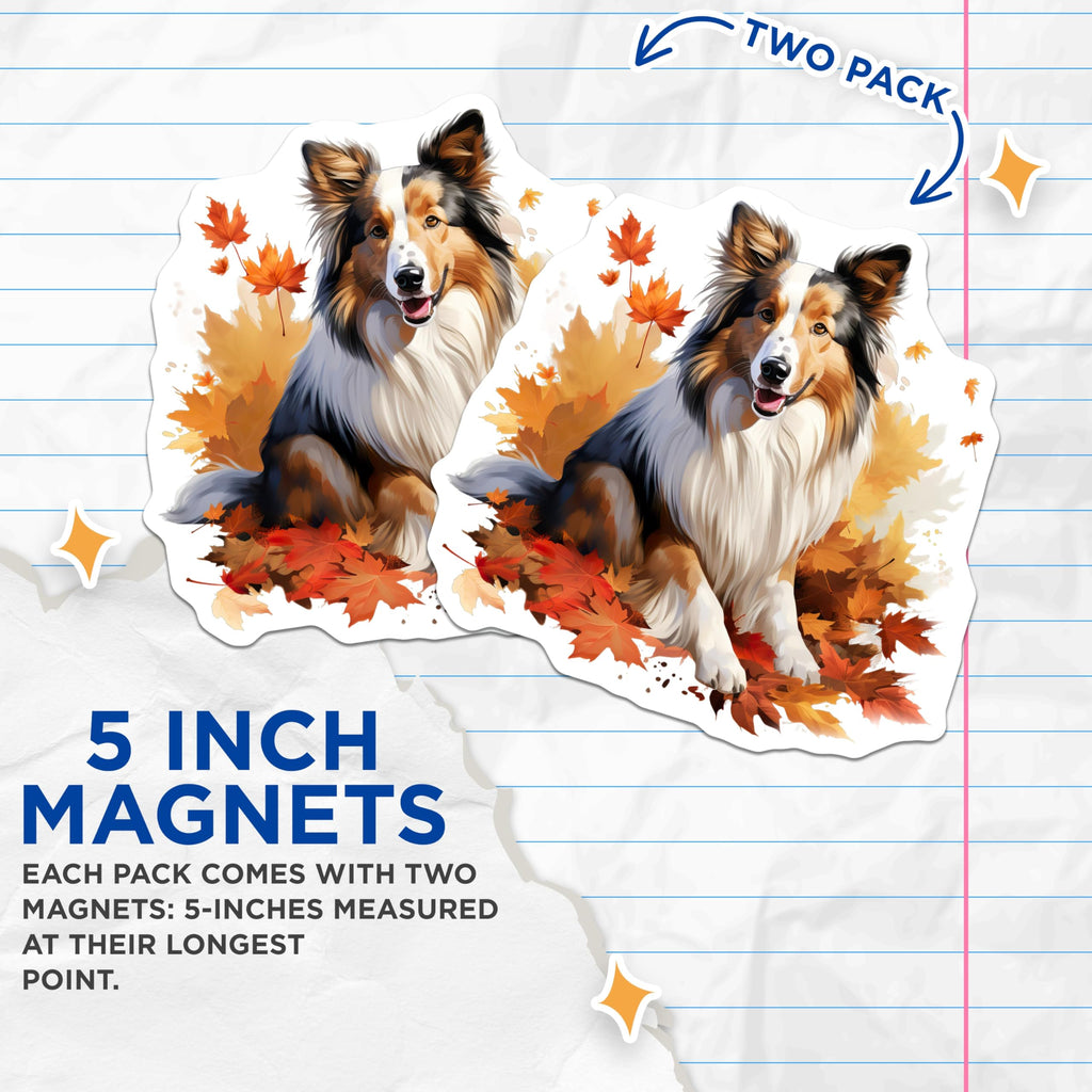 (2 Pack) Sheltie Dog Magnets - Autumn Leaves Decor - Fall Seasonal Pet Art - Collie Dog Lover Refrigerator Magnet - 5 Inches On Longest Side - Thick Durable Magnet - Made in USA - MAG29487