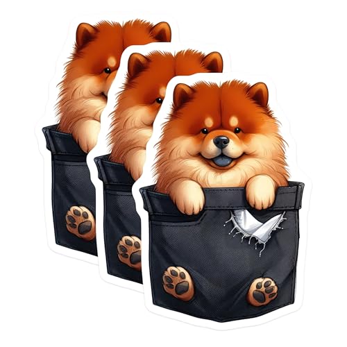 (3 Pack) Pomeranian Decals - Dog Stickers - Pocket Pet Decor - 3 Inches On Longest Side - Easy Peel & Apply - Made in USA - 3MCS2736