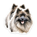 (2 Pack) Keeshond Dog Magnets - Watercolor Pet Portrait - Fluffy Puppy Lover Animal Art for Fridge - 5 Inches On Longest Side - Thick Durable Magnet - Made in USA - MAG29788