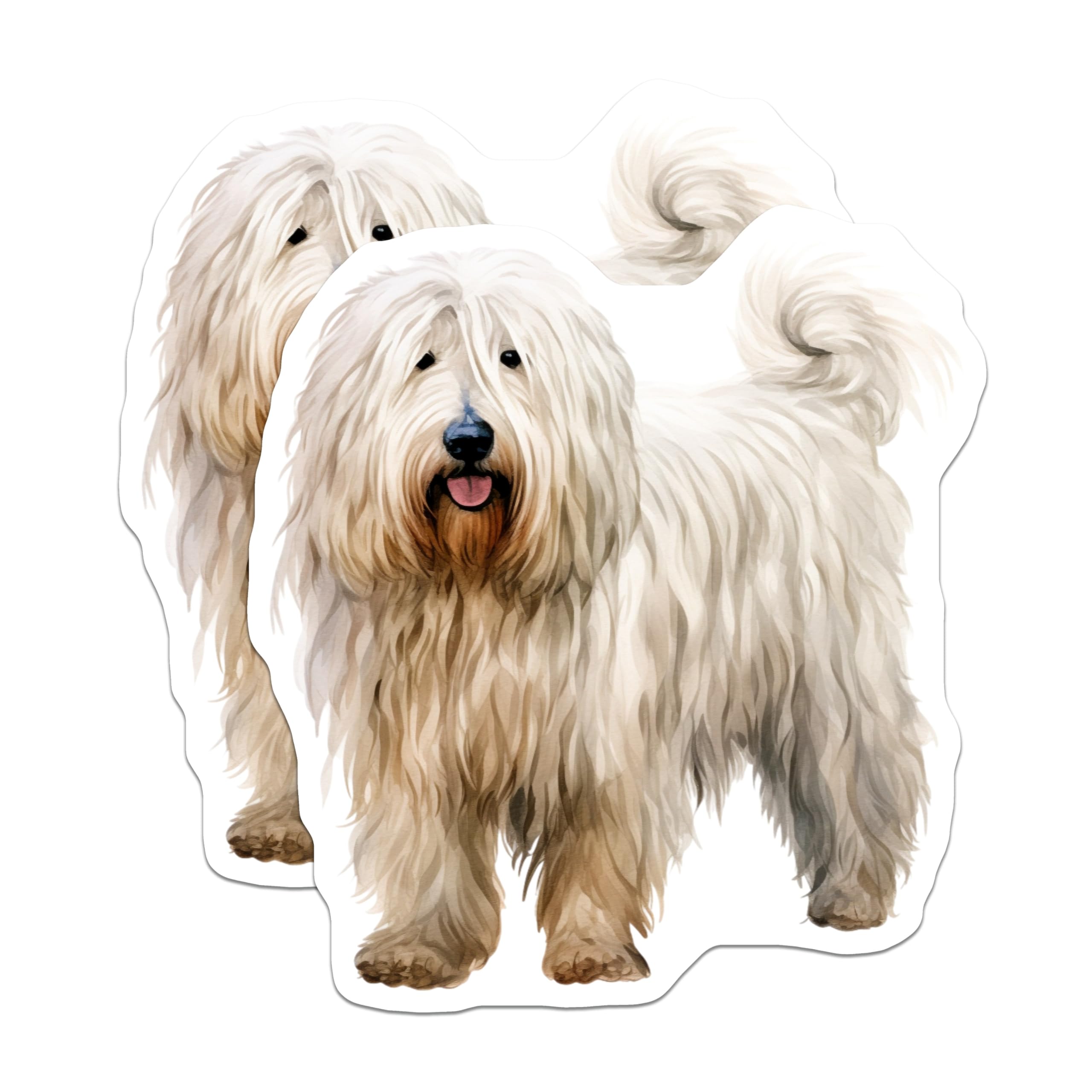 (2 Pack) Havanese Dog Magnets - Shaggy White Dog Decor - Pet Parent Kitchen Fridge Accessories - 5 Inches On Longest Side - Thick Durable Magnet - Made in USA - MAG30047