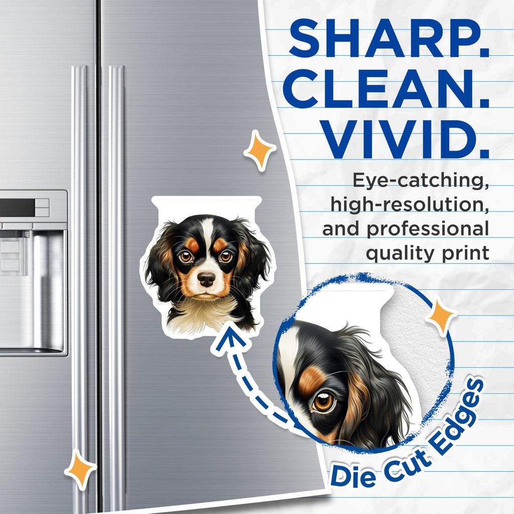 (2 Pack) Tri Color Cavalier King Charles Spaniel Magnets - Puppy Dog Art Decor - Pet Animal Lover Fridge Magnet - 5 Inches On Longest Side - Thick Durable Magnet - Made in USA - MAG24032