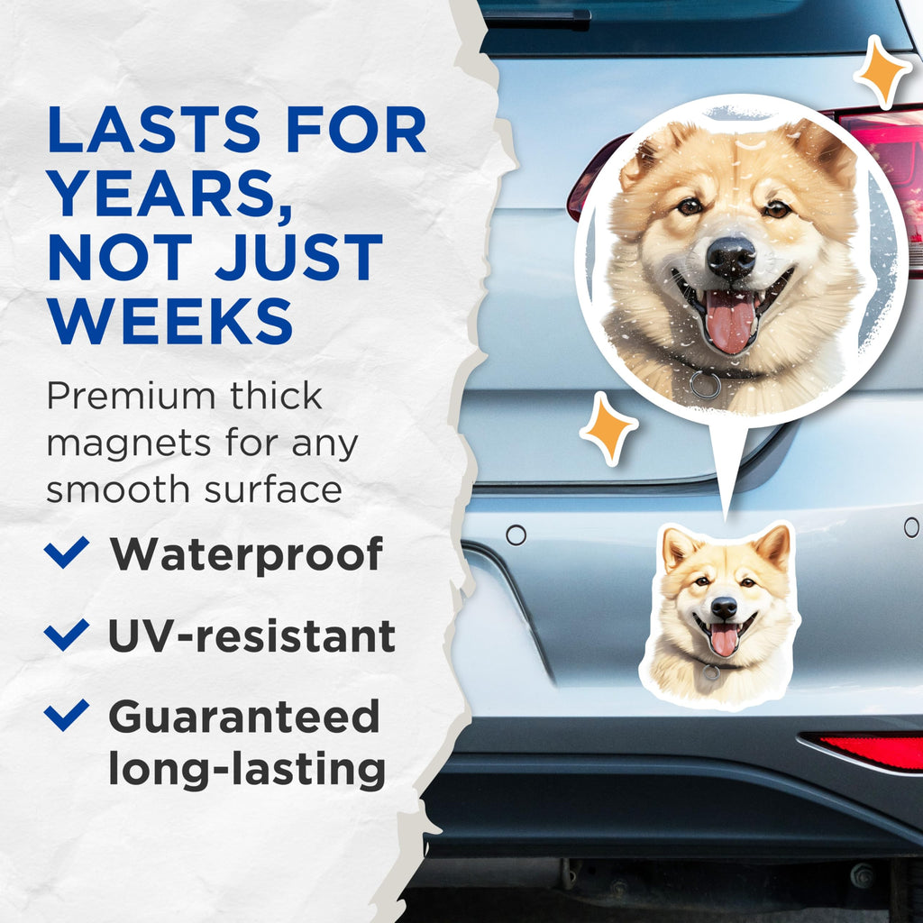 (2 Pack) Shiba Inu Magnets - Smiling Fluffy Dog - Pet Lover Fridge Decor - Dog Owner Car Accessory - Happy Canine Kitchen Art - 5 Inches On Longest Side - Thick Durable Magnet - Made in USA - MAG29822
