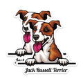 (2 Pack) Dog Lover Magnets - Jack Russell Terrier - Cute Pet Magnet Pack - Animal Refrigerator Magnets - 5" On Longest Side - for Cars, Fridges, Toolboxes - Made in USA - MAG4212