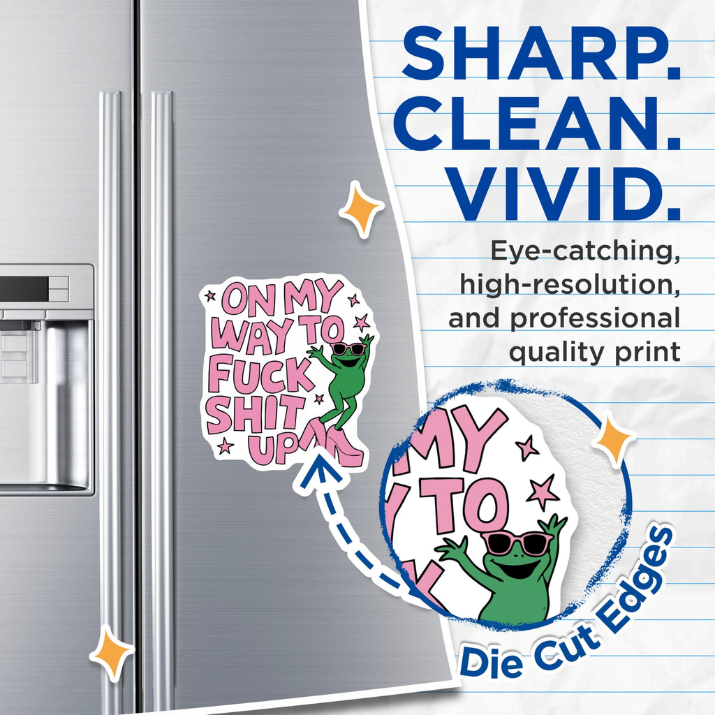 (2 Pack) Funny Frog Magnets - Sassy Quote Refrigerator Magnets - Chaotic Energy Locker Decor - 5 Inches On Longest Side - Thick Durable Magnet - Made in USA - MAG23156