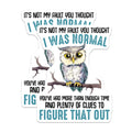 (2 Pack) Funny Owl Phrase Magnets - Cute Owl Pun - 5" On Longest Side - for Cars, Fridges, Toolboxes - Made in USA - MAG7739