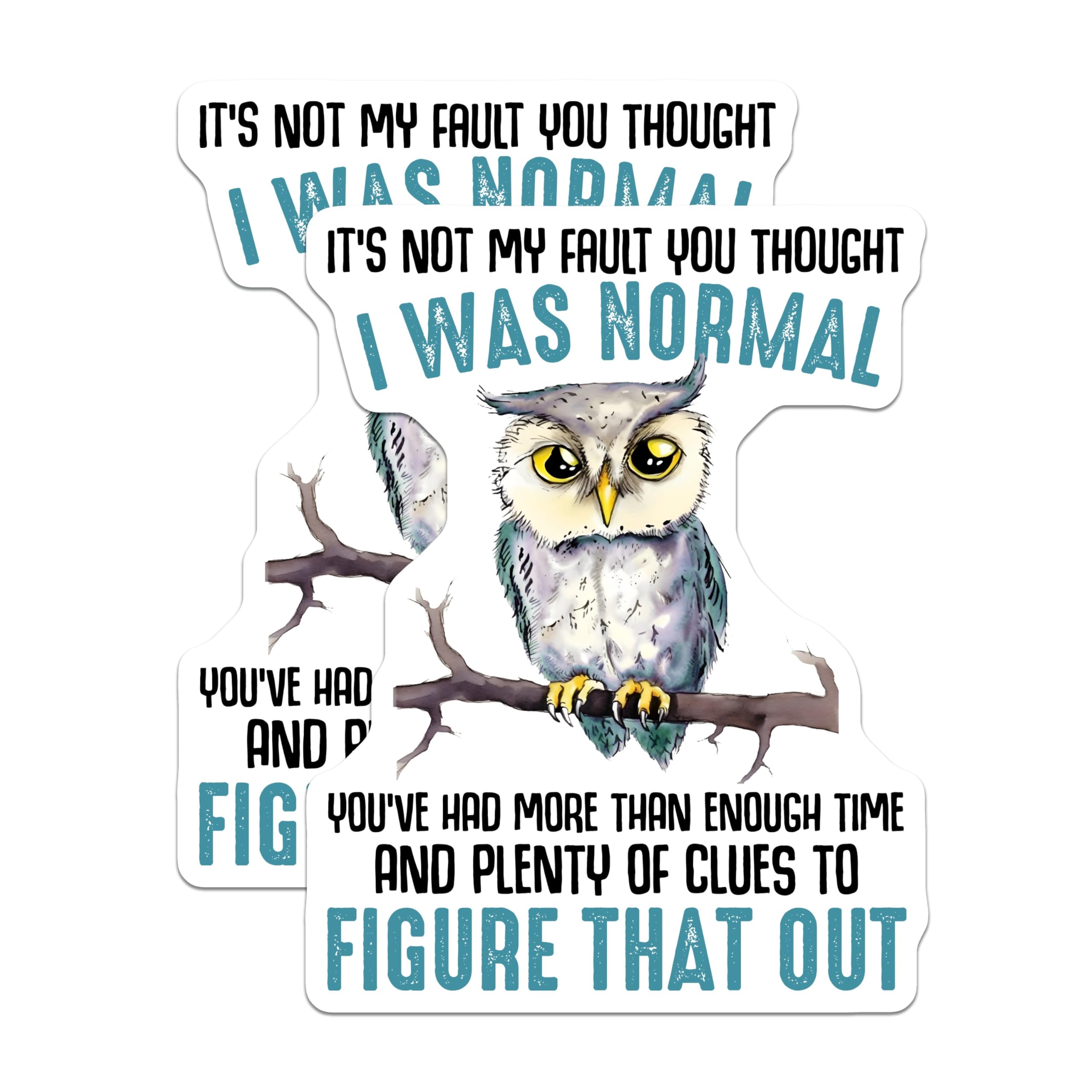 (2 Pack) Funny Owl Phrase Magnets - Cute Owl Pun - 5" On Longest Side - for Cars, Fridges, Toolboxes - Made in USA - MAG7739
