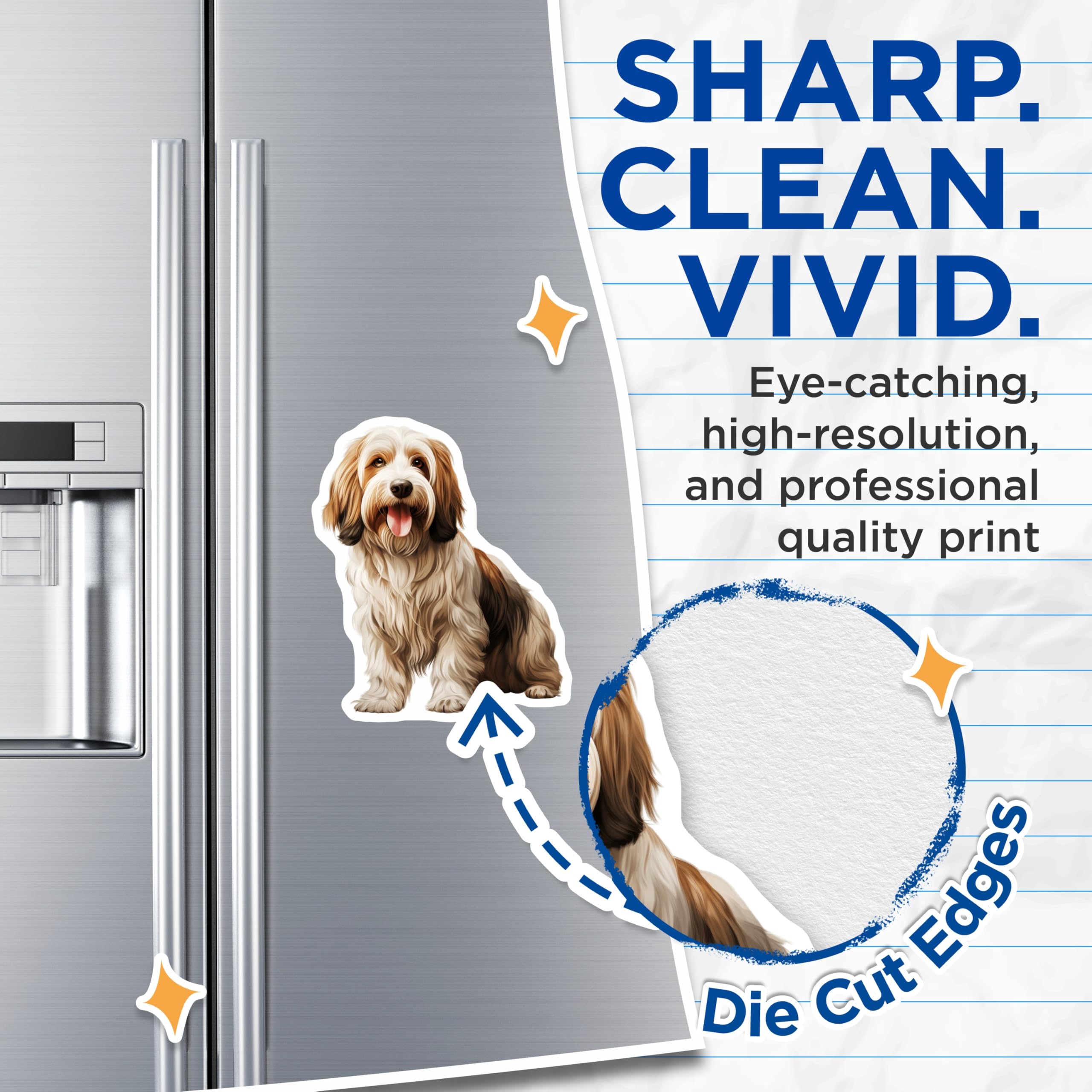 (2 Pack) Havanese Dog Magnets - Cute Pet Lover Art - Refrigerator Locker Decor - 5 Inches On Longest Side - Thick Durable Magnet - Made in USA - MAG30826