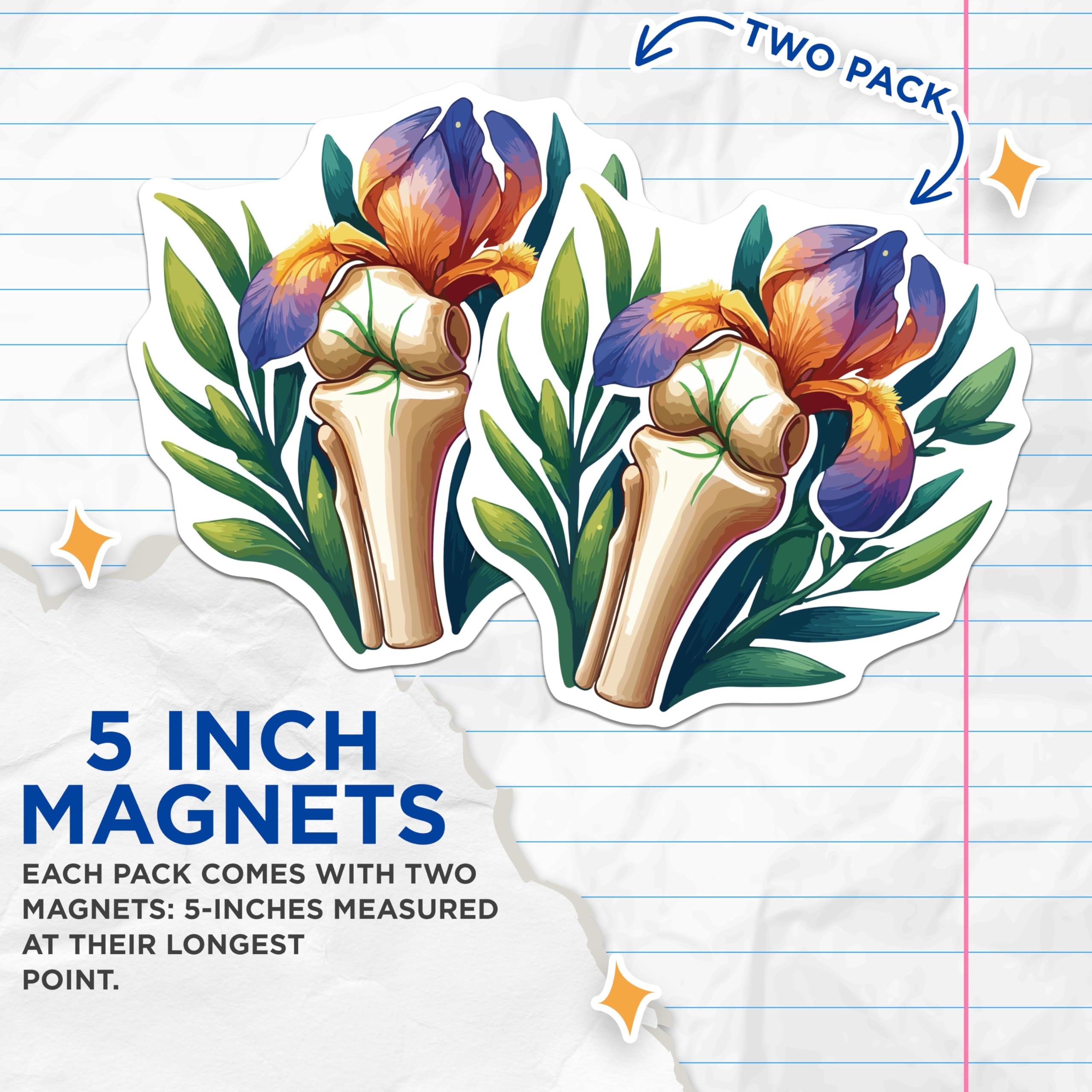 (2 Pack) Human Anatomy Bone Iris Magnets - Medical Floral Science Decor - Orthopedic Biology Student Accent - 5 Inches On Longest Side - Thick Durable Magnet - Made in USA - MAG19780