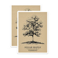 (2 Pack) Sugar Maple Tree Magnets - Vermont State Tree - Nature Artwork - 5" On Longest Side - Premium Magnet - for Cars, Refrigerators, Toolboxes, Lockers - Made in USA - MAG18607