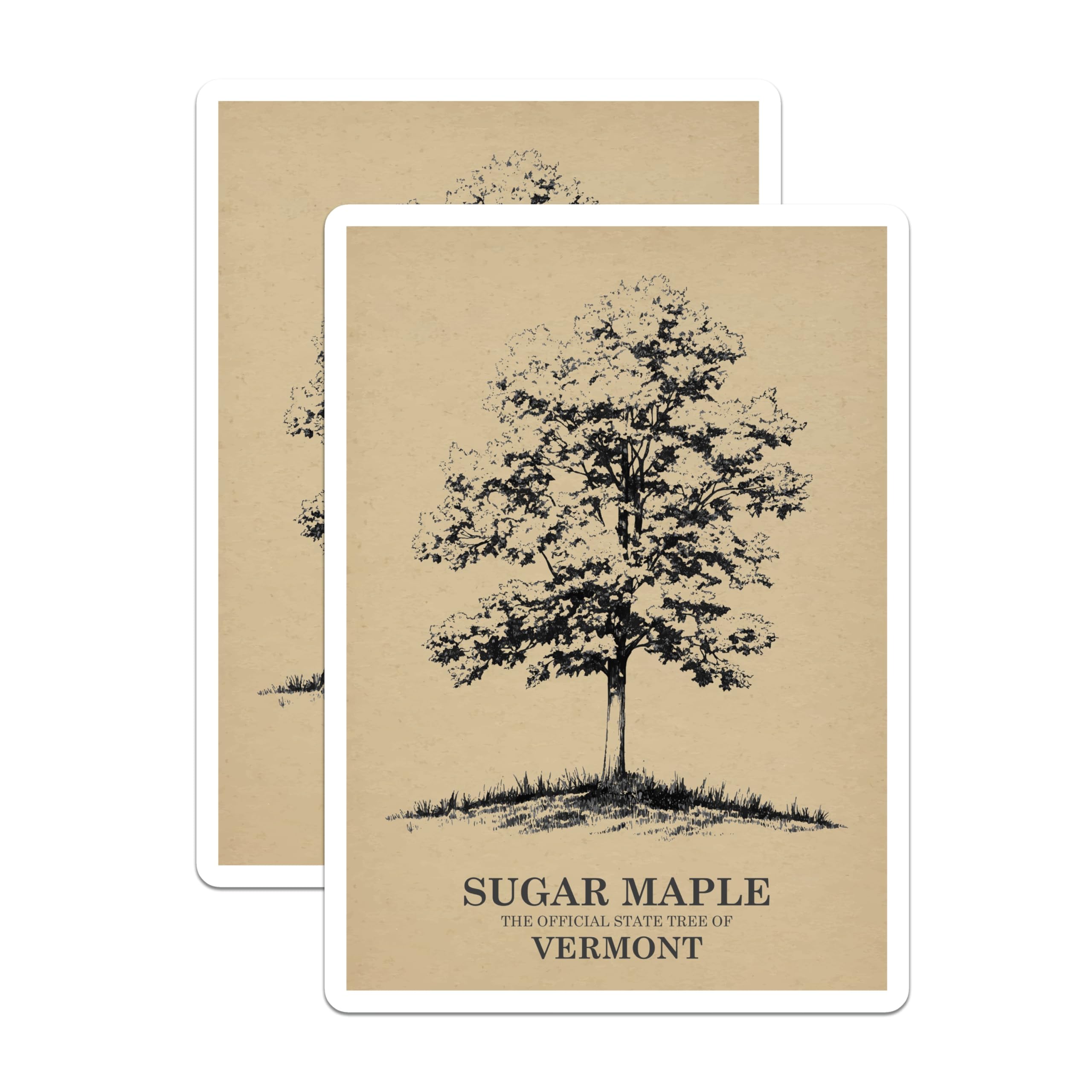 (2 Pack) Sugar Maple Tree Magnets - Vermont State Tree - Nature Artwork - 5" On Longest Side - Premium Magnet - for Cars, Refrigerators, Toolboxes, Lockers - Made in USA - MAG18607