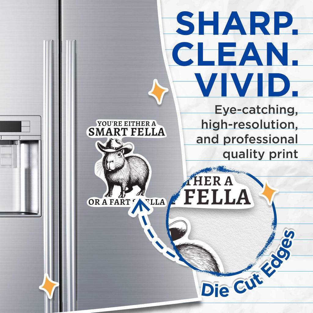 (2 Pack) You're Either A Smart Fella Or A Fart Smella Magnets - Funny Humor Comedy Magnet - 5 Inches On Longest Side - Premium Decal - for Cars, Refrigerators, Toolboxes - Made in USA - MAG2009