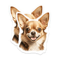 (2 Pack) Happy Chihuahua Magnets - Smiling Dog Decor - Pet Lover Collectible - 5 Inches On Longest Side - Thick Durable Magnet - Made in USA - MAG23436