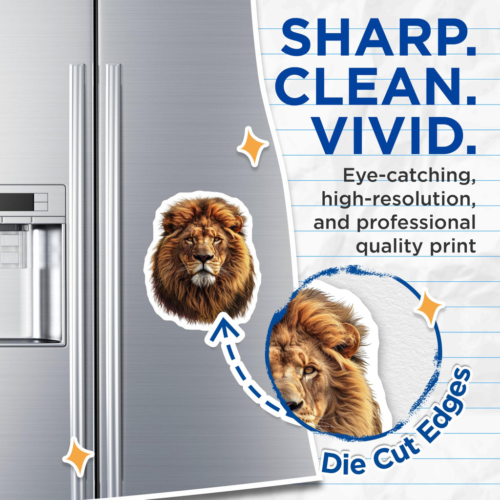 (2 Pack) Lion Head Magnets - Regal Animal Decor - Wildlife Fridge Magnets - 5" On Longest Side - Premium Magnet - for Cars, Refrigerators, Toolboxes, Lockers - Made in USA - MAG15687