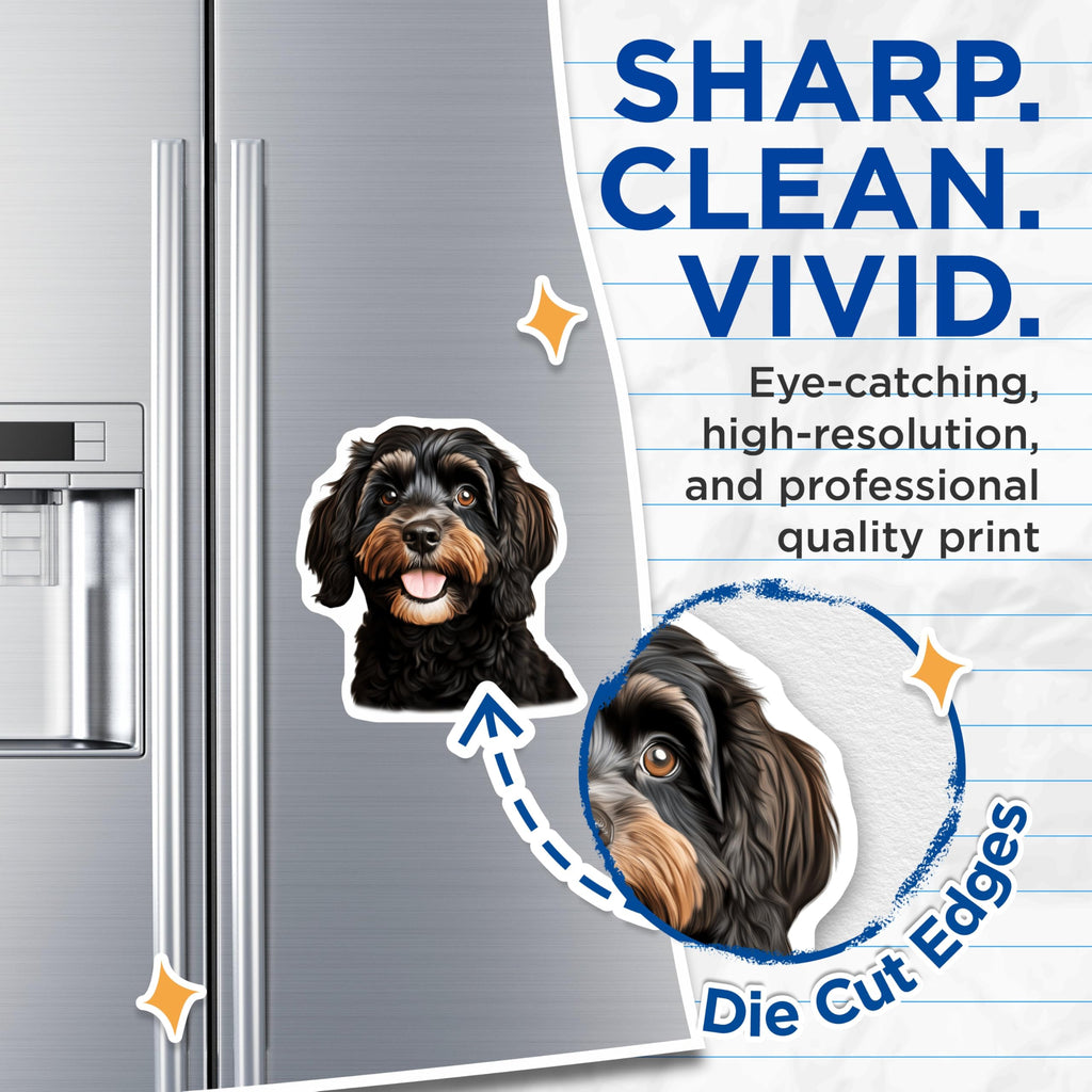(2 Pack) Cavapoo Dog Magnets - Cute Doodle Puppy Decor - Pet Lover Fridge Accessories - Animal Art for Home - 5 Inches On Longest Side - Thick Durable Magnet - Made in USA - MAG25015
