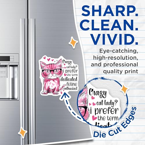 (2 Pack) Crazy Cat Lady Magnets - Funny Cat Lover Magnets - Feline Enthusiast Magnets - Cute Cat Magnets for Fridge - 5" On Longest Side - for Cars, Fridges, Toolboxes - Made in USA - MAG4338