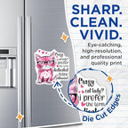 (2 Pack) Crazy Cat Lady Magnets - Funny Cat Lover Magnets - Feline Enthusiast Magnets - Cute Cat Magnets for Fridge - 5" On Longest Side - for Cars, Fridges, Toolboxes - Made in USA - MAG4338