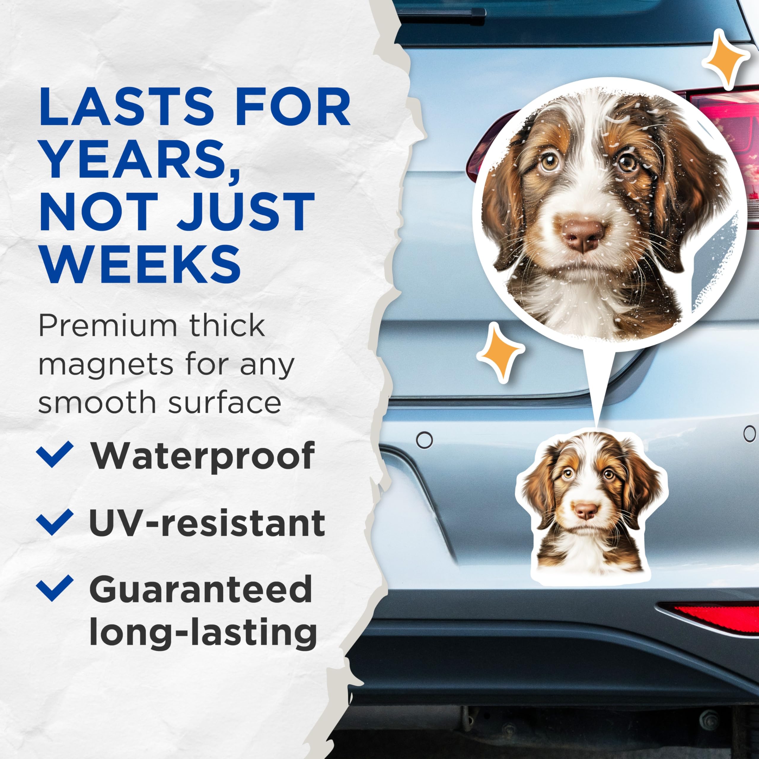 (2 Pack) Australian Shepherd Puppy Magnets - Dog Mom Refrigerator Decor - Pet Parent Home Accent - 5 Inches On Longest Side - Thick Durable Magnet - Made in USA - MAG30480