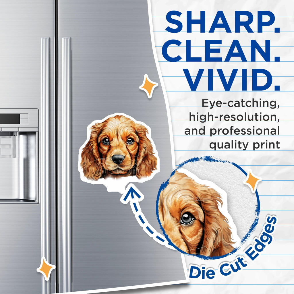 (2 Pack) Cocker Spaniel Puppy Magnets - Adorable Dog Face - Pet Lover Home Decor - 5 Inches On Longest Side - Thick Durable Magnet - Made in USA - MAG29913