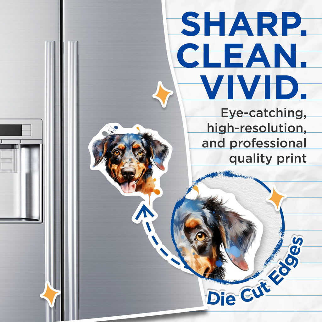 (2 Pack) Rottweiler Magnets - Artistic Watercolor Dog Art - Pet Lover Animal Fridge Locker Decor Collection - 5 Inches On Longest Side - Thick Durable Magnet - Made in USA - MAG23642