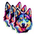 (3 Pack) Colorful Husky Decals - Laptop Stickers - Dog Breed Art - 3 Inches On Longest Side - Easy Peel & Apply - Made in USA - 3MCS0832