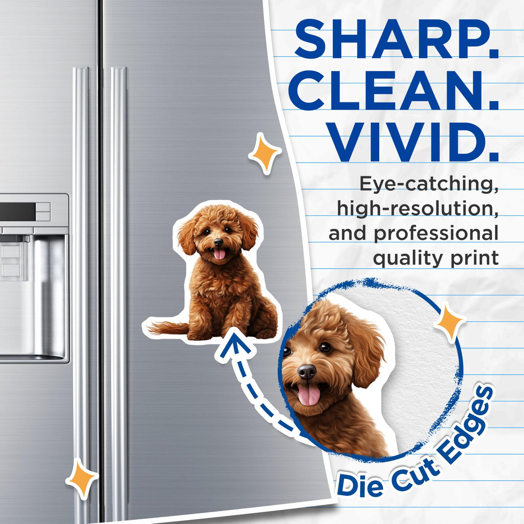 (2 Pack) Cute Goldendoodle Magnets - Labradoodle Dog Decor - Poodle Puppy Fridge Magnets - 5 Inches On Longest Side - Thick Durable Magnet - Made in USA - MAG25180