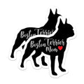 (2 Packs) Boston Terrier Mom Stickers - Boston Terrier Dog Breed Dog Mom Dad Decals - 5 Inches On Longest Side - Premium Vinyl Decal - Sticks to Any Smooth Flat Surface - Made in USA - BMCS2444