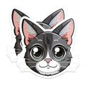 (2 Pack) Cute Cat Magnets - Kawaii Gray Kitty Refrigerator Decor - Pet Owner Stocking Stuffer - 5 Inches On Longest Side - Thick Durable Magnet - Made in USA - MAG36397