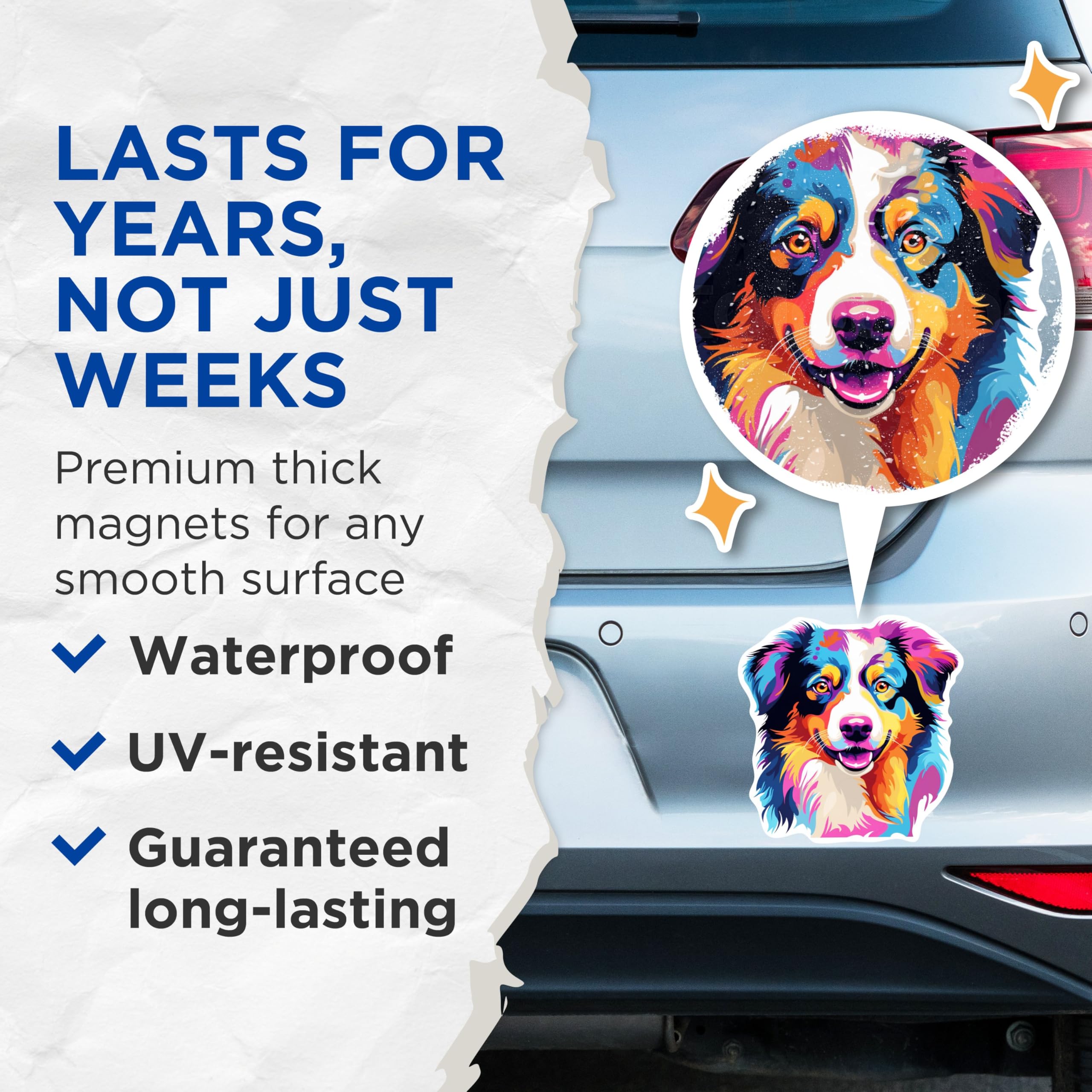 (2 Pack) Australian Shepherd Dog Breed Magnets - 5 Inches On Longest Side - Choose from Over 100 Dog Breeds - for Cars, Refrigerators, Toolboxes - Made in USA - MAG1761
