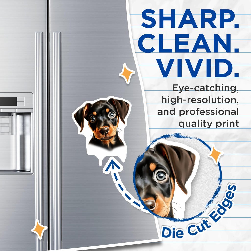 (2 Pack) Doberman Puppy Magnets - Cute Pet Lover Refrigerator Decor - New Canine Parent - 5 Inches On Longest Side - Thick Durable Magnet - Made in USA - MAG30881