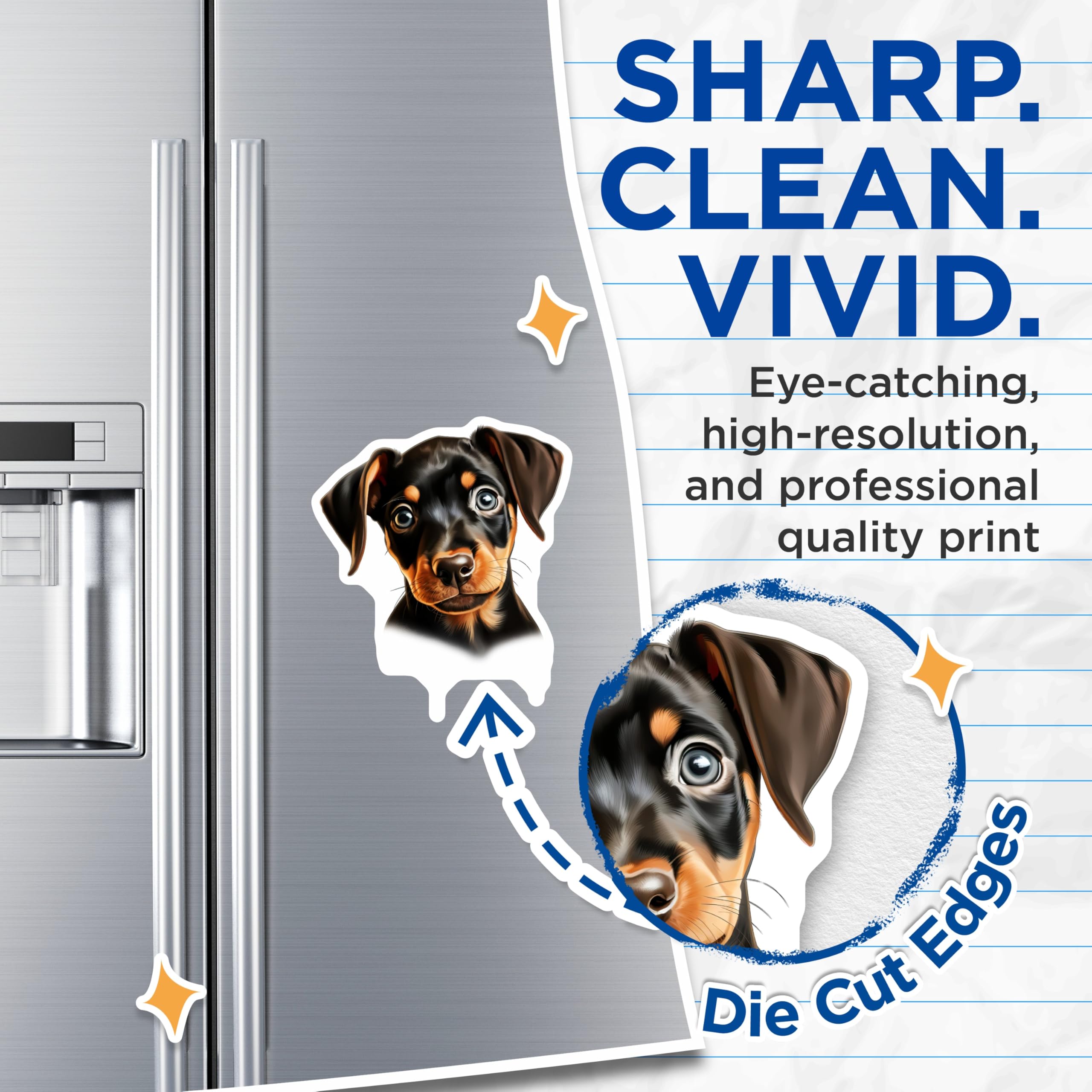 (2 Pack) Doberman Puppy Magnets - Cute Pet Lover Refrigerator Decor - New Canine Parent - 5 Inches On Longest Side - Thick Durable Magnet - Made in USA - MAG30881