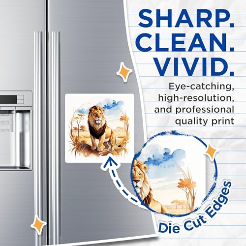 (2 Pack) Lion Magnets Magnets - 5" On Longest Side - Made in USA - Sticks to Refrigerators & Metal Surfaces - MAG8697