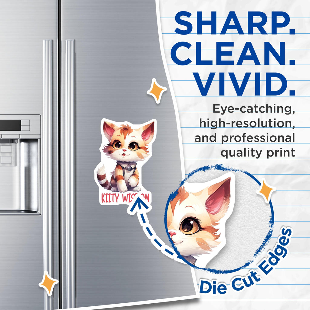 (2 Pack) Cat Magnets - Cute Kitten Decor - Kiity Wisdom Fridge Magnets - 5" On Longest Side - Premium Magnet - for Cars, Refrigerators, Toolboxes, Lockers - Made in USA - MAG15697
