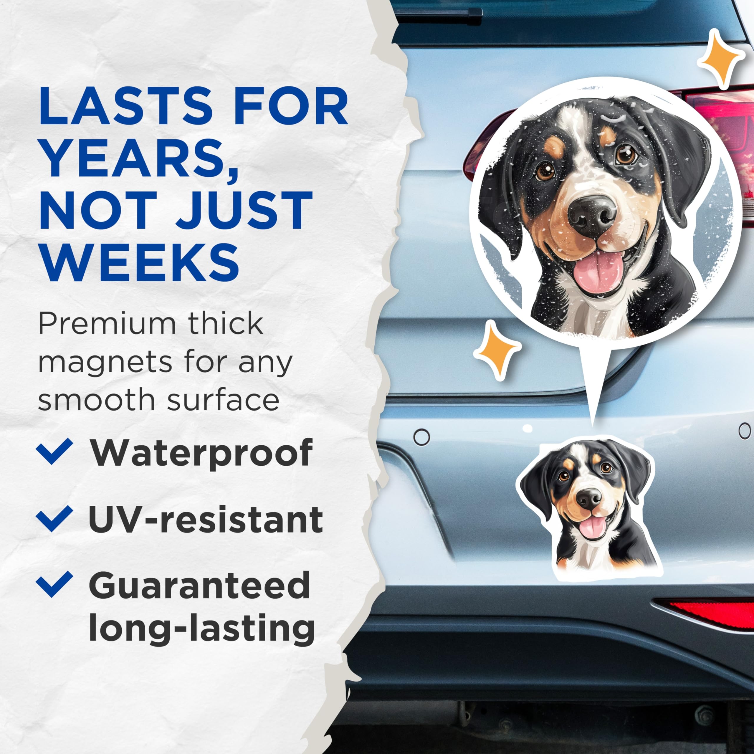 (2 Pack) Greater Swiss Mountain Dog Magnets - Swissy Puppy Decor - Happy Canine Art - Pet Enthusiast Accessories - 5 Inches On Longest Side - Thick Durable Magnet - Made in USA - MAG24031