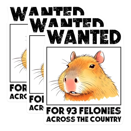 (3 Pack) Capybara Wanted Decals - Rodent Meme - Funny Animal Decals - 3 Inches On Longest Side - Easy Peel & Apply - Made in USA - 3MCS8429