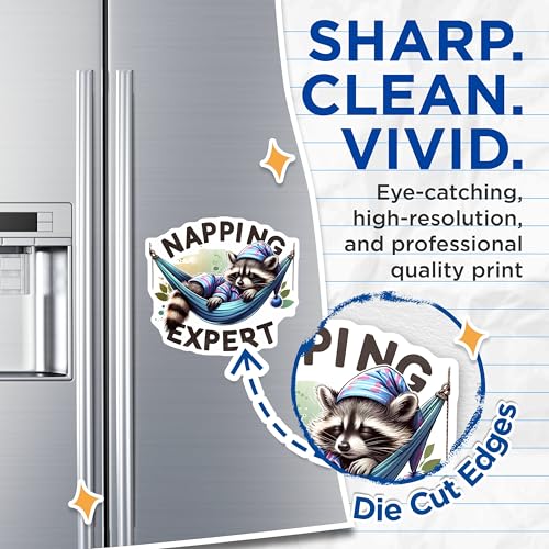 (2 Pack) Napping Expert Magnets - Cute Raccoon Magnet - Funny Sleepy Animal Magnet - 5" On Longest Side - for Cars, Fridges, Toolboxes - Made in USA - MAG4539